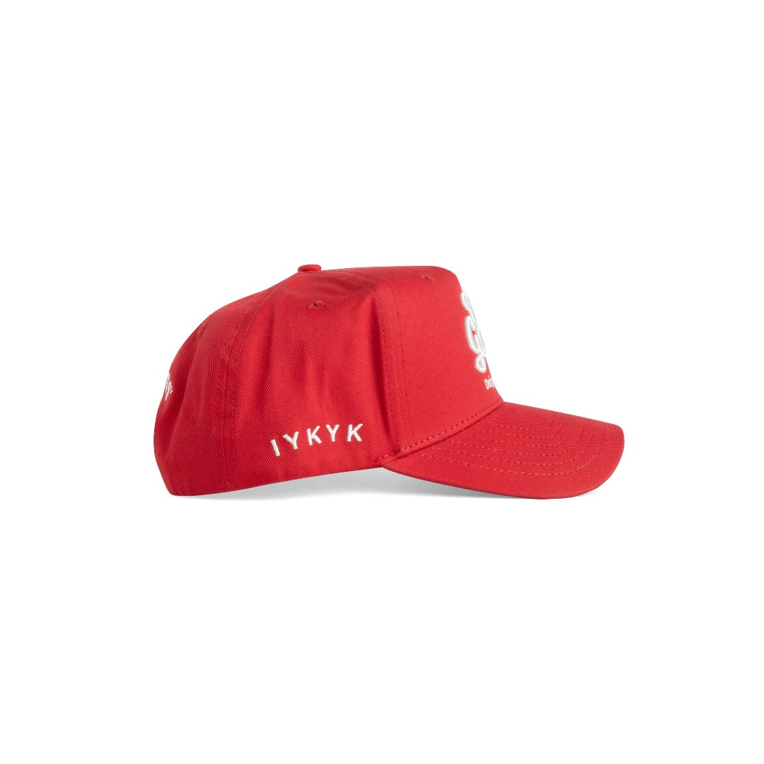 DG x WSU Crimson - Image 3
